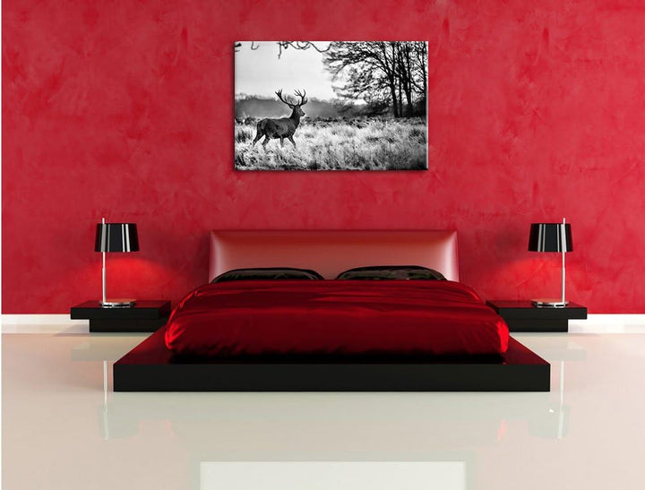 Pixxprint Monocrome, Hirsch im Sonnenuntergang, Format: 100x70 auf Leinwand, 100x70