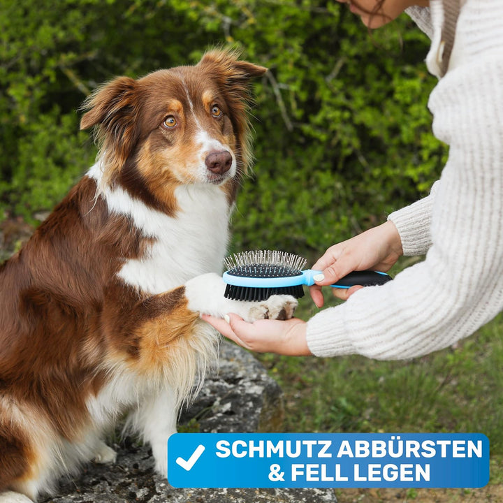 BluePet "DoppelDecker" 2in1 Hundebürste für Langhaar &amp; Kurzhaar - Auch für Welpen &amp; Katzen - Glätten