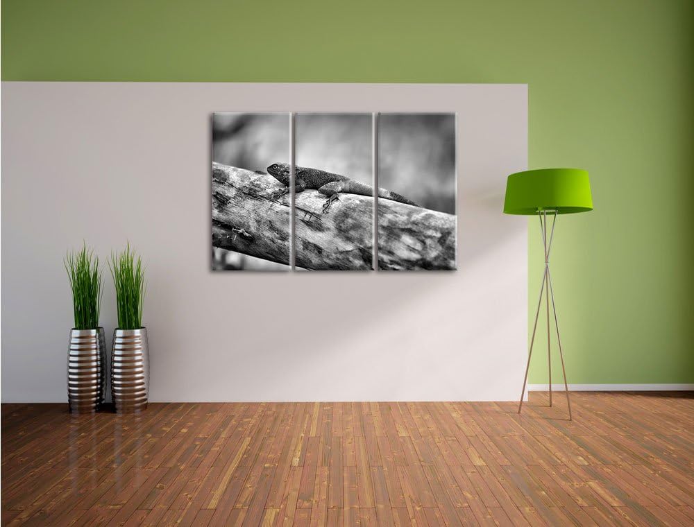 Pixxprint farbenfrohe Eidechse als Leinwandbild | Grösse: 3 Teilig (120x80) | Wandbild| Kunstdruck |