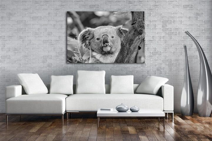 deyoli kleiner Süsser Koala Effekt: Schwarz/Weiss Format: 100x70 als Leinwandbild, Motiv fertig gera