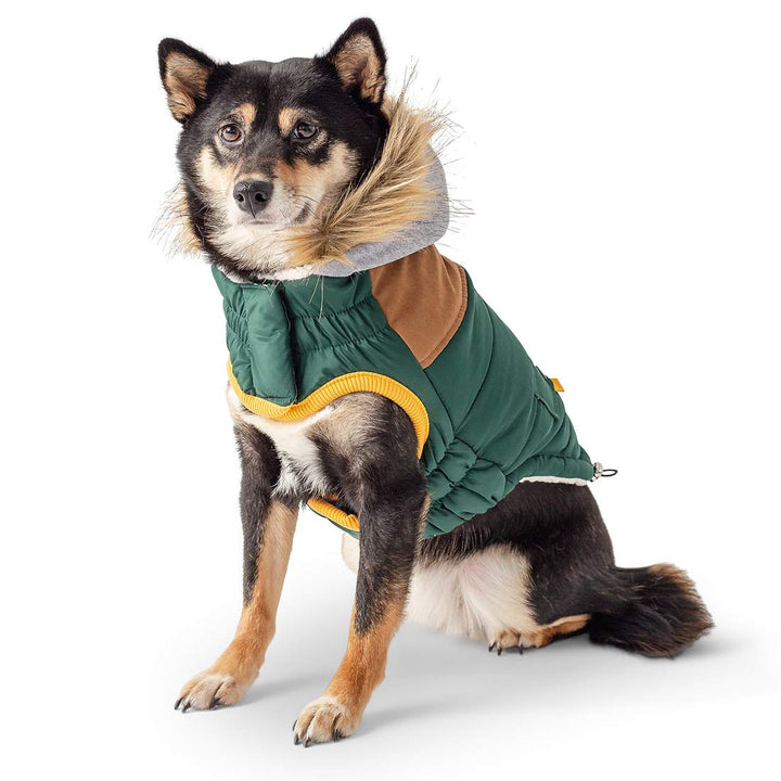 GF Pet LODGE Parka, L Forest Forest L, Forest L