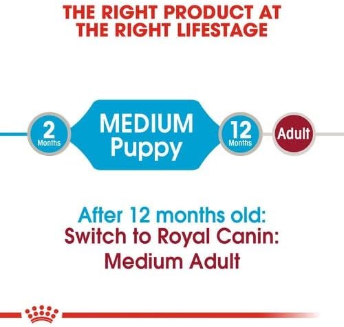 Royal Canin Medium Puppy | Doppelpack | 2 x 10 x 140 g | Nasses Welpenfutter für mittelgrosse Hunde
