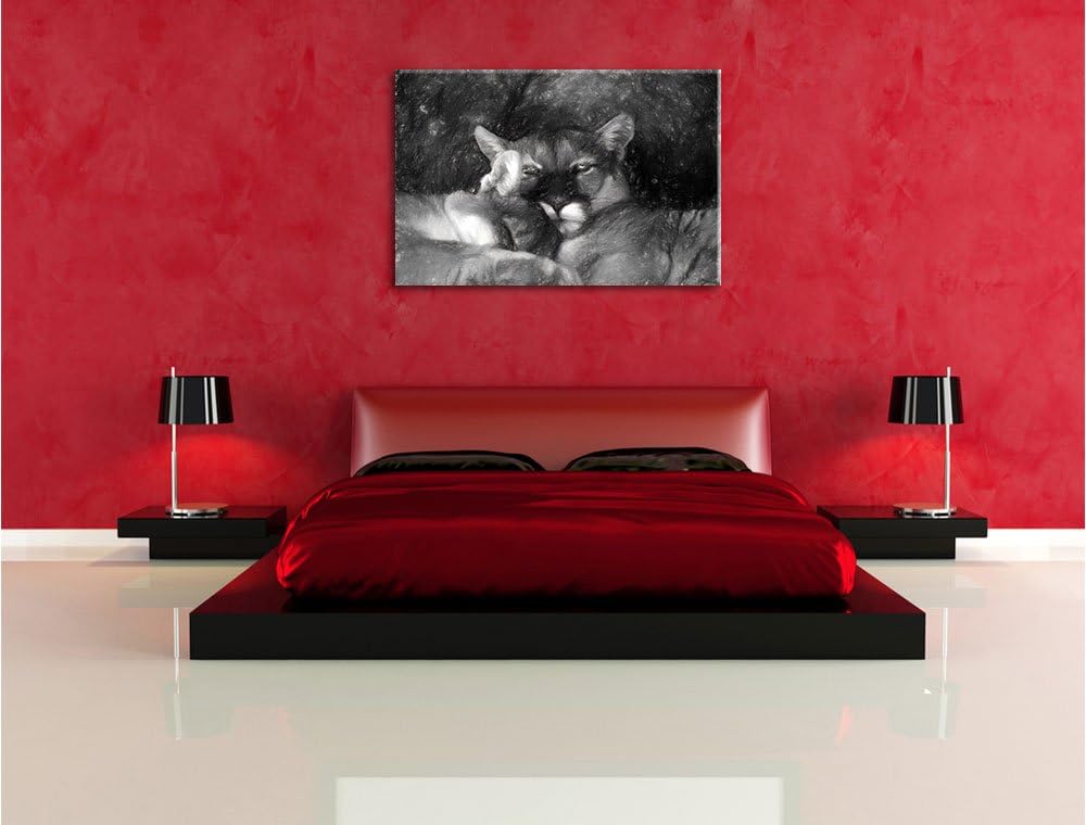 Pixxprint verschlafenes Puma Paar Kunst als Leinwandbild/Grösse: 100x70 / Wandbild/Kunstdruck/fertig