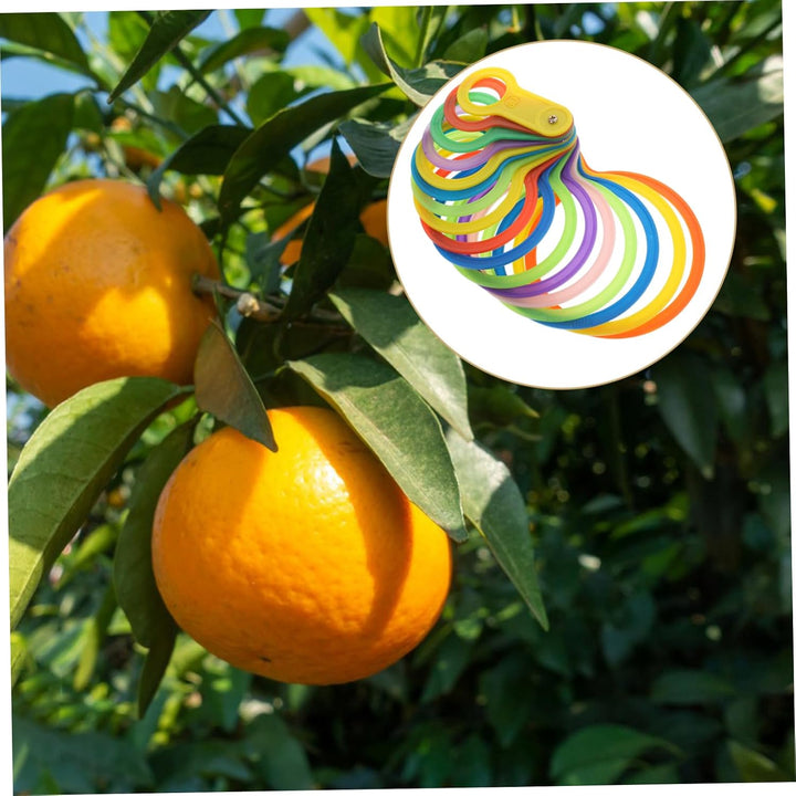 Garneck Ringgrössenmesser Durchmessermessringe Obstmesswerkzeug Obstdurchmessermesslehre Kunststoff