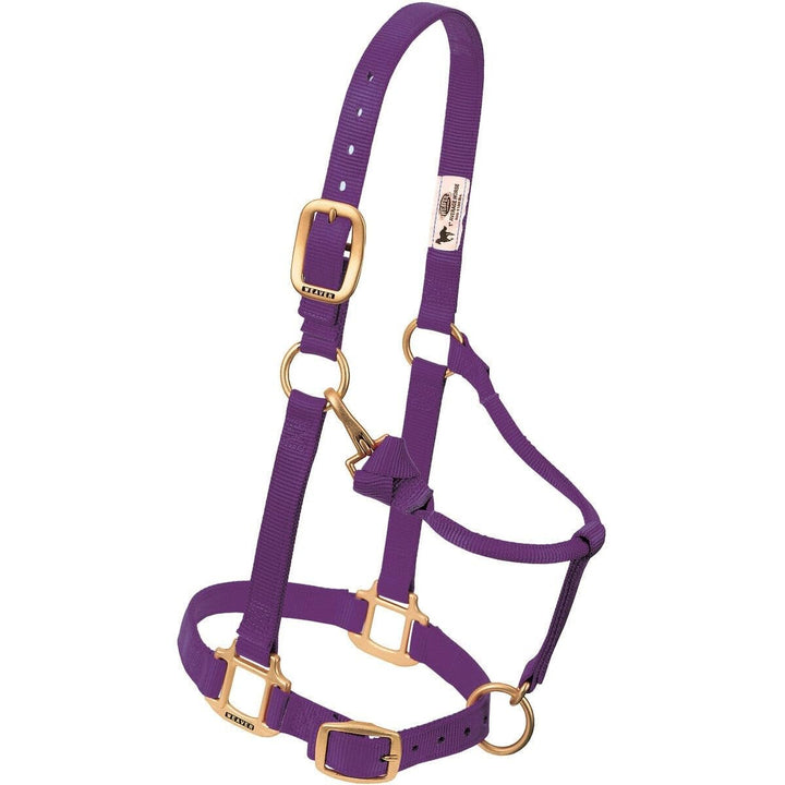 Weaver Leather Original verstellbares Nylonhalfter für Pferde S Horse Violett, S Horse Violett