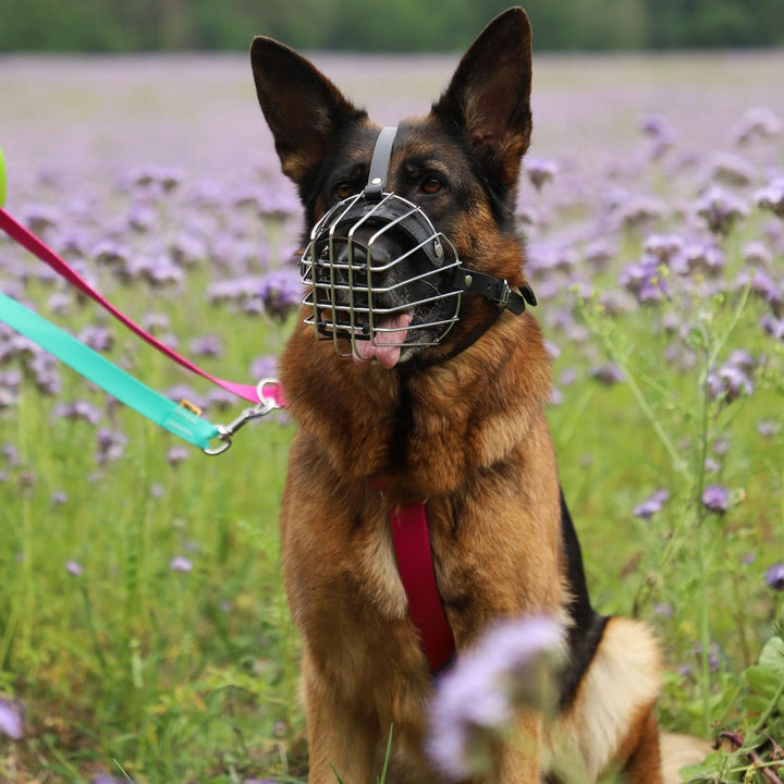 Dingo Mettal Maulkorb mit Kunststoffgitter Nr.6 Drahtmaulkorb für Hundetraining Handarbeit leicht Ko