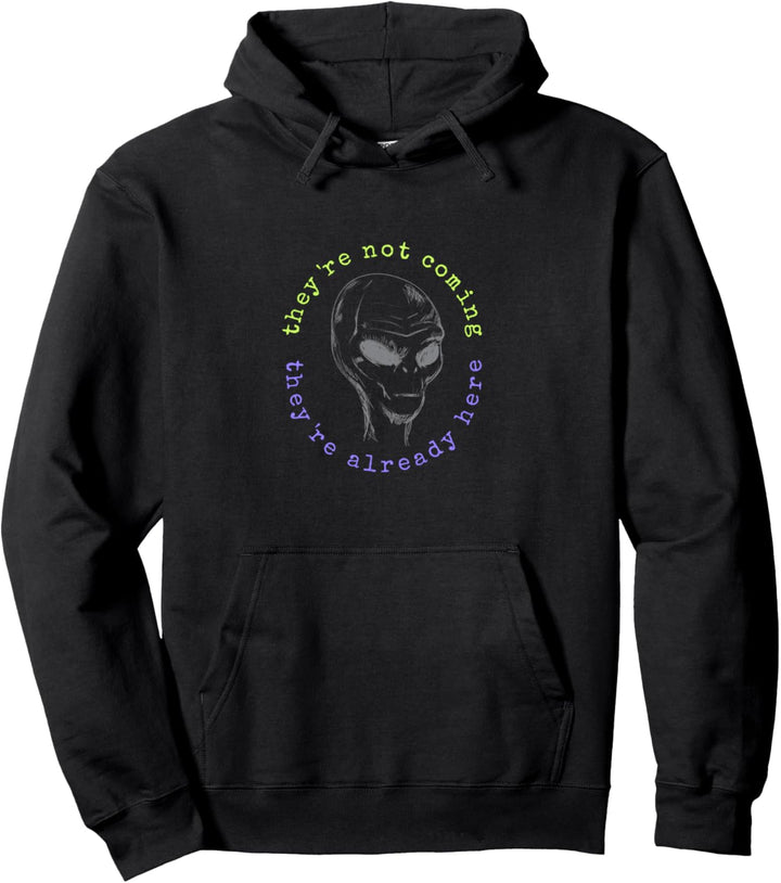 Alien Conspiracy Theorist Pullover Hoodie