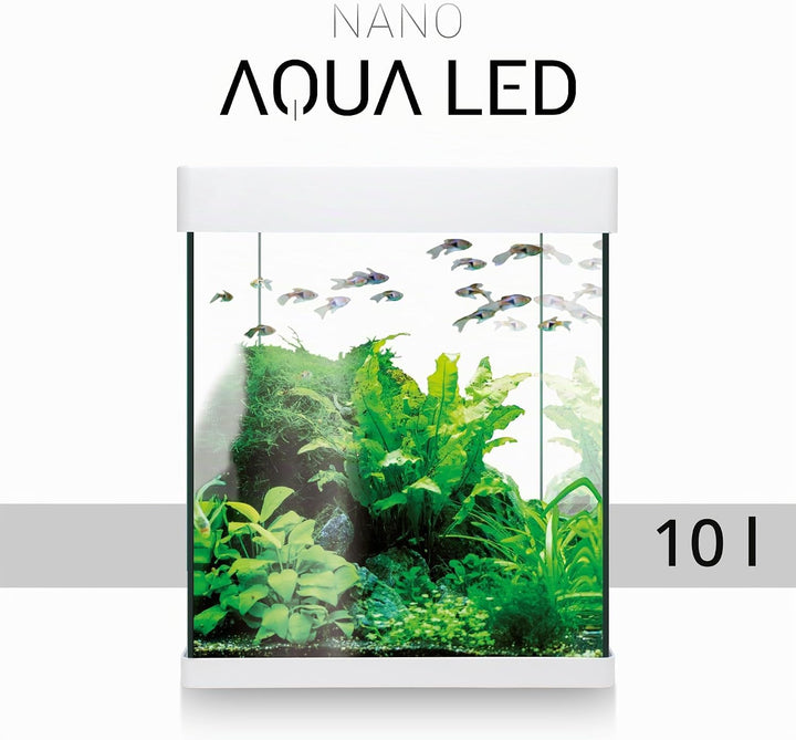 ICA KNA10 Nano Aqua Led Crystal Aquariumset, 10 Liter Weiss 10 LITROS (Pack of 1), Weiss 10 LITROS (