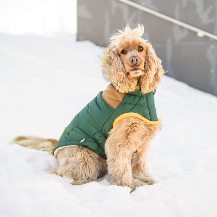 GF Pet LODGE Parka, L Forest Forest L, Forest L