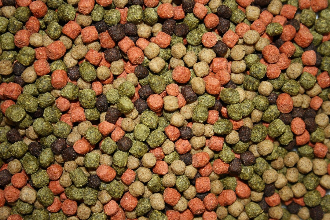 Koifuttermischung, Koifutter, Premium Koimix, Schwimmfutter, Teichfuttermix, Spirulina, Astax, Papri