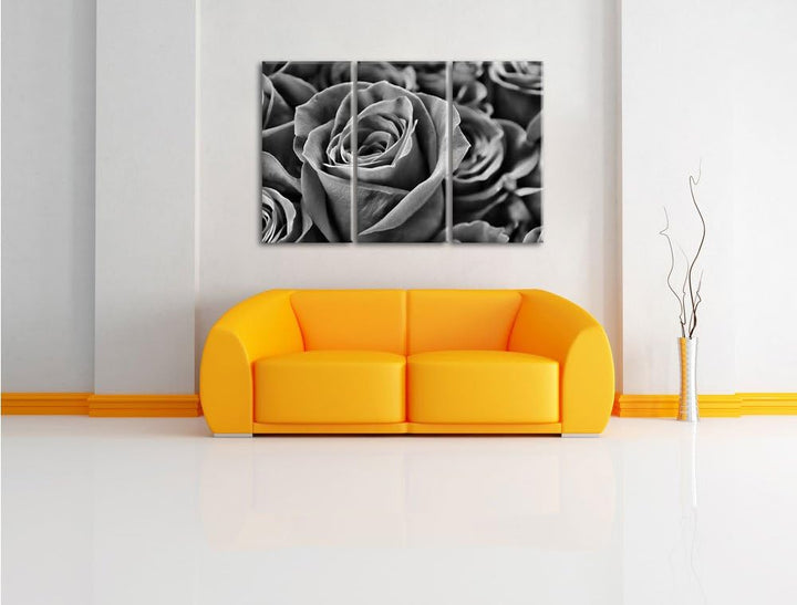 Pixxprint Monocrome, Romantische Rosen 3-Teiler Leinwandbild 120x80 Bild auf Leinwand