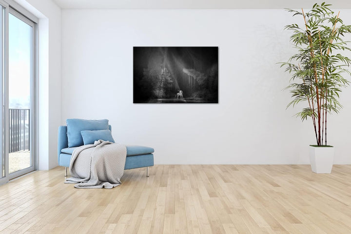 deyoli Einhorn auf einer Waldlichtung Format: 80x60 Effekt: Schwarz&amp;Weiss als Leinwandbild, Motiv fe