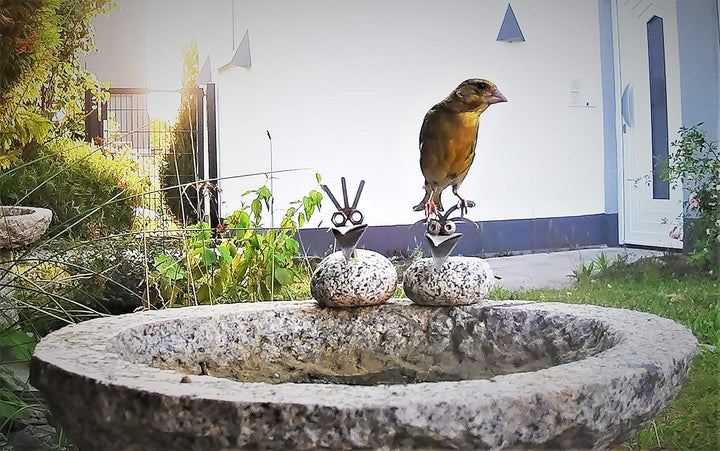 Gebrüder Lomprich Vogelbad aus Granit mit Fuss (1 Steinvogel am Rand sitzend)