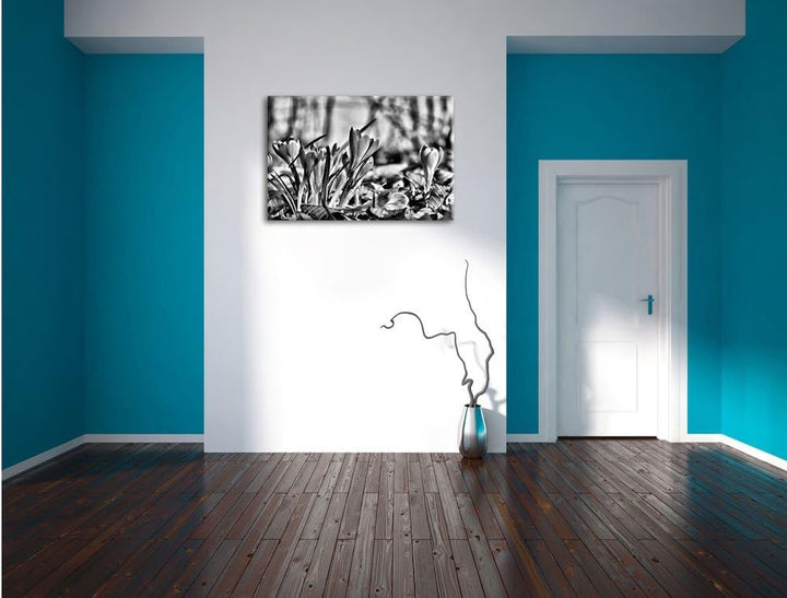 Pixxprint Exotische lila Krokusse / 100x70cm Leinwandbild bespannt auf Holzrahmen/Wandbild Kunstdruc