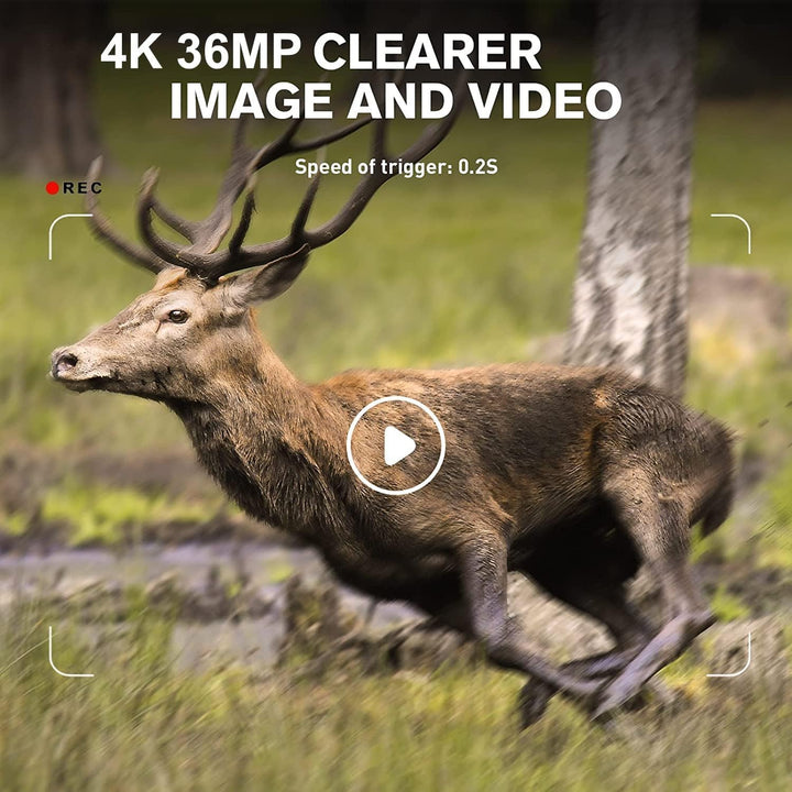 Wildkamera WLAN mit Handyübertragung App 36MP/4K, WiFi Bluetooth Wildtierkamera mit Nachtsicht Beweg