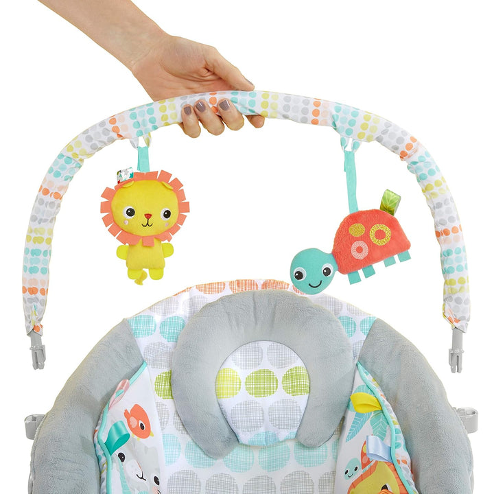 Bright Starts, vibrierende Wippe, Whimsical