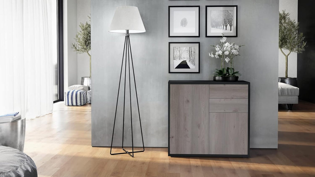 Vladon Sideboard Ben, Kommode mit 2 Türen und 2 Schubladen, Schwarz matt/Eiche Nordic (79 x 74 x 36