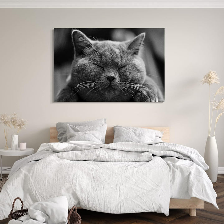 Printed Paintings Leinwand (100x70cm): Katze dunkelgrau Katzenbilder Tierbilder 100x70 cm, 100x70 cm