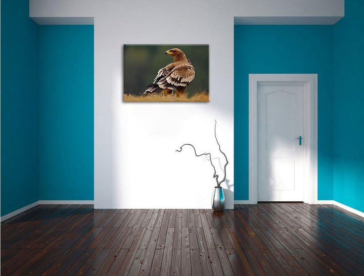 Pixxprint Einsamer Falke mit braunem Gefieder, Format: 100x70 auf Leinwand, 100x70