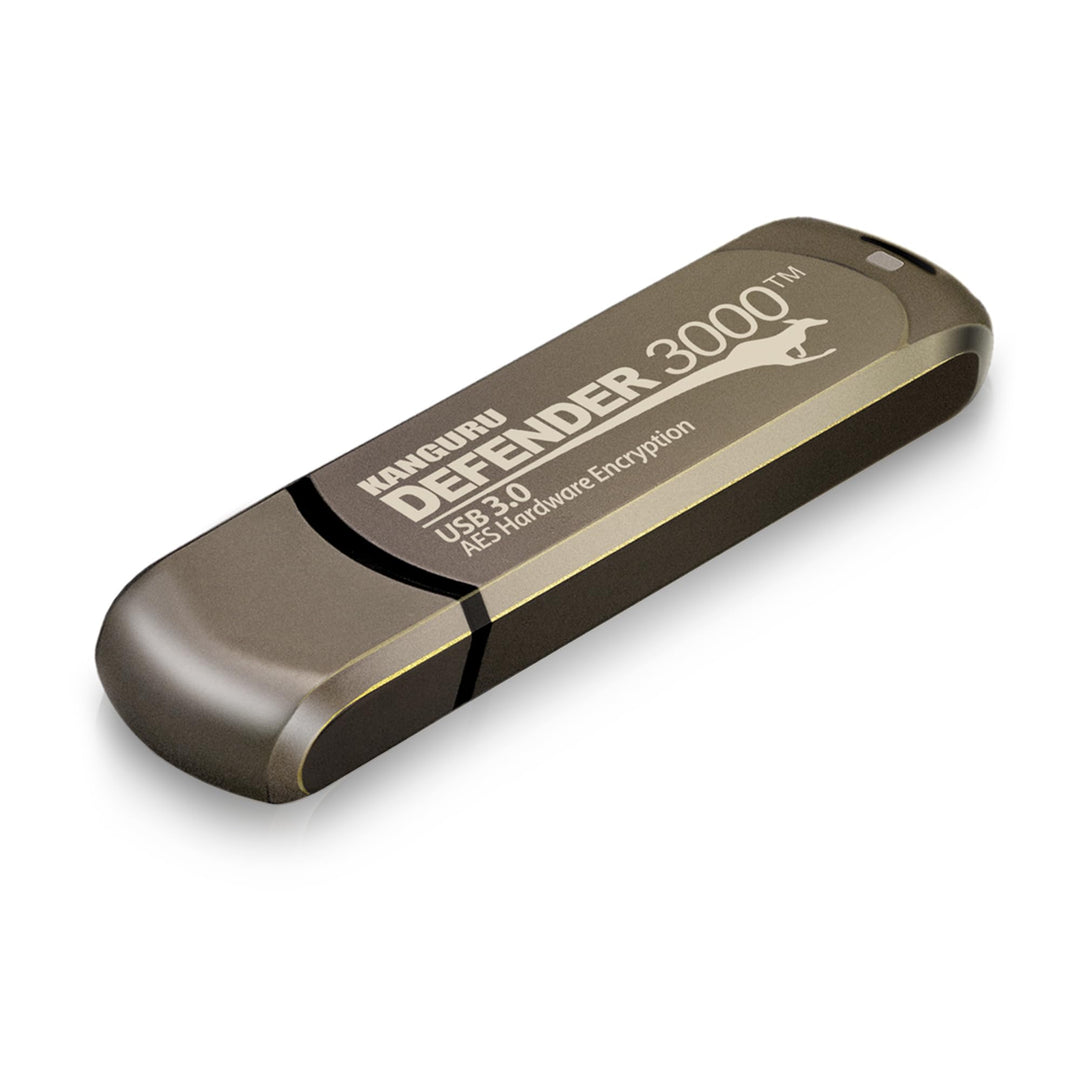 Kanguru Defender 3000 Speicherstick USB 3.0, schwarz schwarz 32G 32 gb, 32 gb