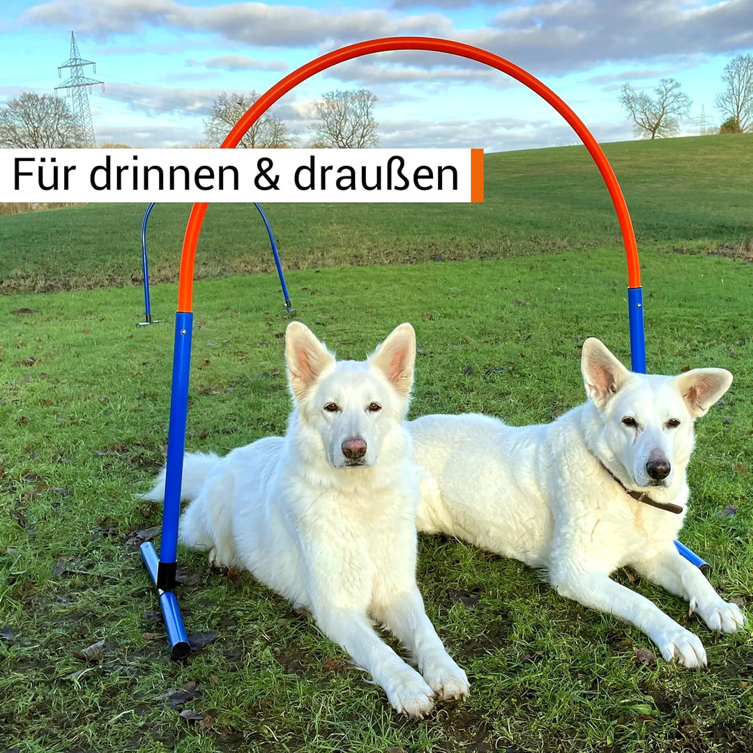 Hoopers Hoop – wetterfest, VDH-konform & farbig – mit Stecksystem für sicheres Hundetraining – aus r