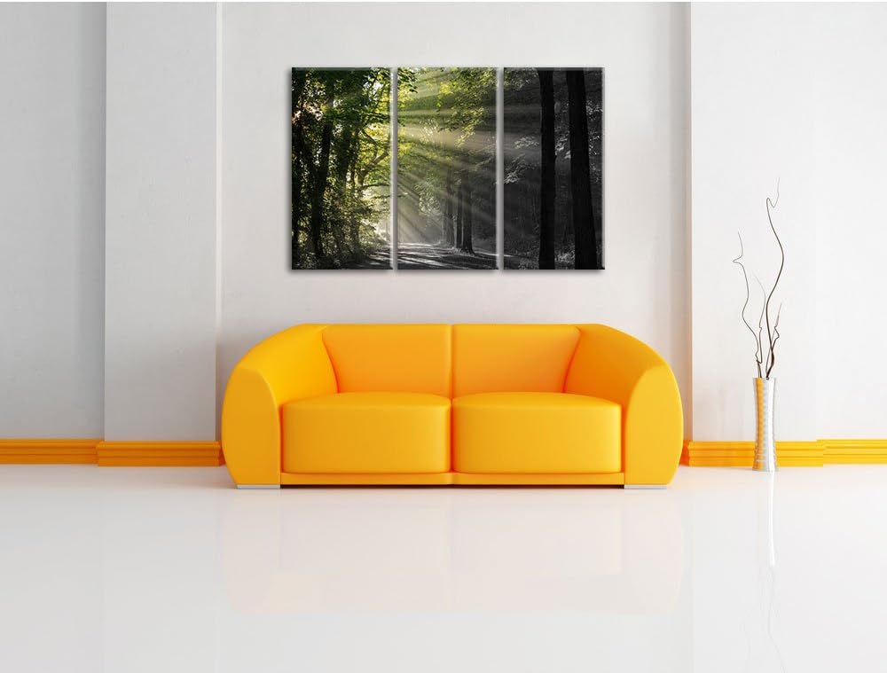 Pixxprint Waldweg im Frühling als Leinwandbild/Grösse: 3 Teilig (120x80) cm/Wandbild/Kunstdruck/fert