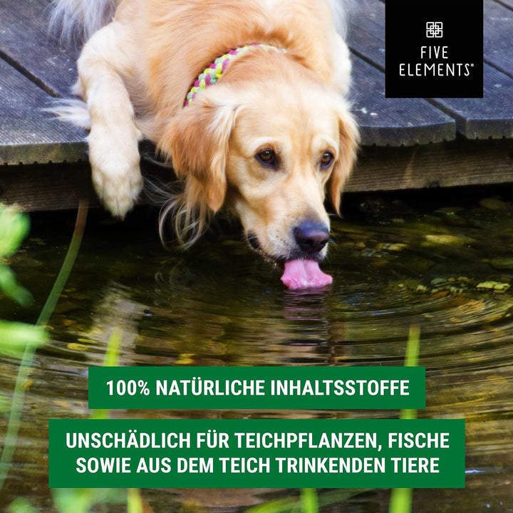 FIVE ELEMENTS Koi-Vitamine | 5,0 l flüssig | wichtige Vitamine und Mineralien | verbessert Abwehrkrä