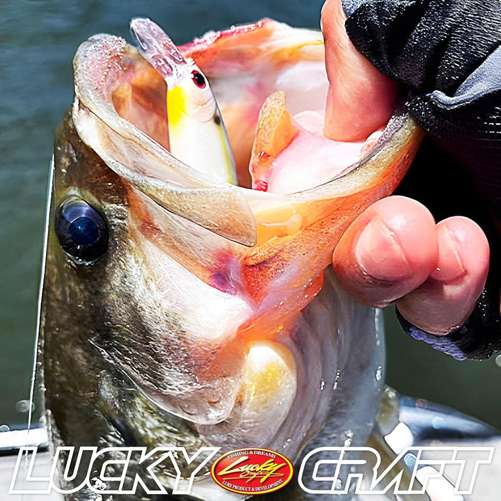 Lucky Craft Pointer 78mm Köder Pearl Threadfin Shad, Pearl Threadfin Shad
