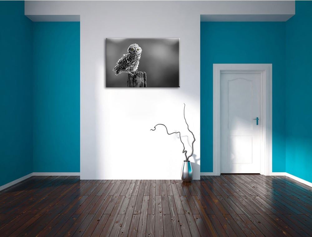 lustige Eule auf Baumstumpf schwarz/weiss Format: 100x70 auf Leinwand, XXL riesige Bilder fertig ger