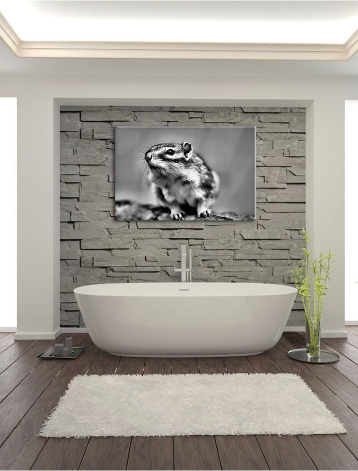 Pixxprint niedliches Streifenhörnchen als Leinwandbild/Grösse: 100x70 / Wandbild/Kunstdruck/fertig b