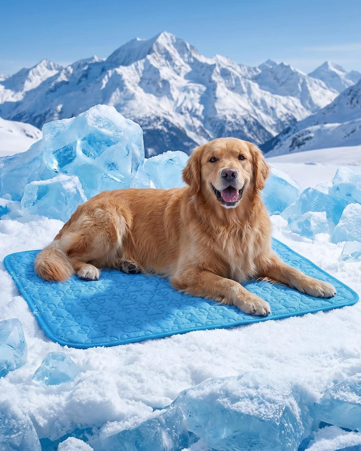 Kühlmatte für Hunde und Katzen, 100 x 70 cm, selbstkühlend Blau 100x70cm, Blau 100x70cm