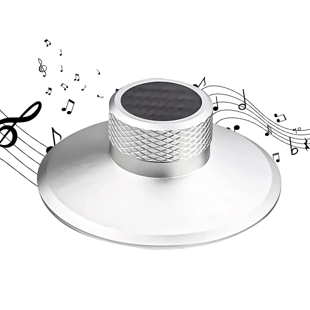 Brollitest Carbonfaser-Schallplattengewichtsscheibe, Vinyl-Gewichtsstabilisator, Schallplattenklamme