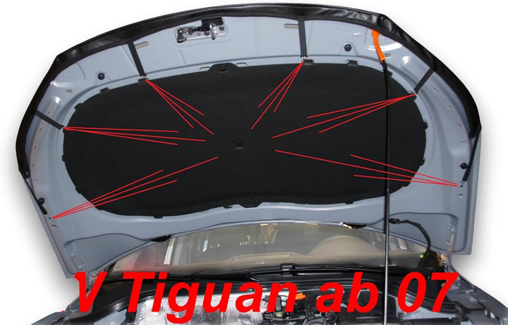 AB3-00139 Auto Bra kompatibel mit VW Tiguan Bj. 2007-2016 Haubenbra Steinschlagschutz Tuning Styling