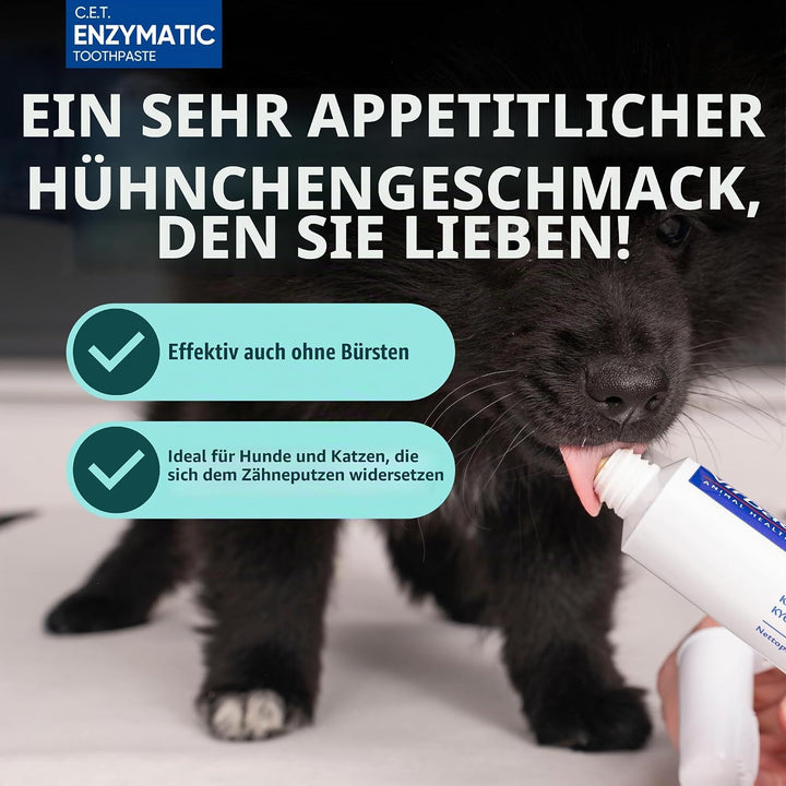 CET KIT CEPILLO + DENTIFRICO ENZIMATICO 70GR