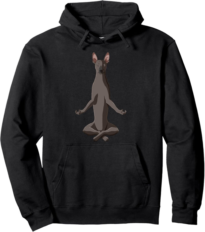Yoga Mexikanischer Nackthund Hund Xoloitzcuintle Pullover Hoodie