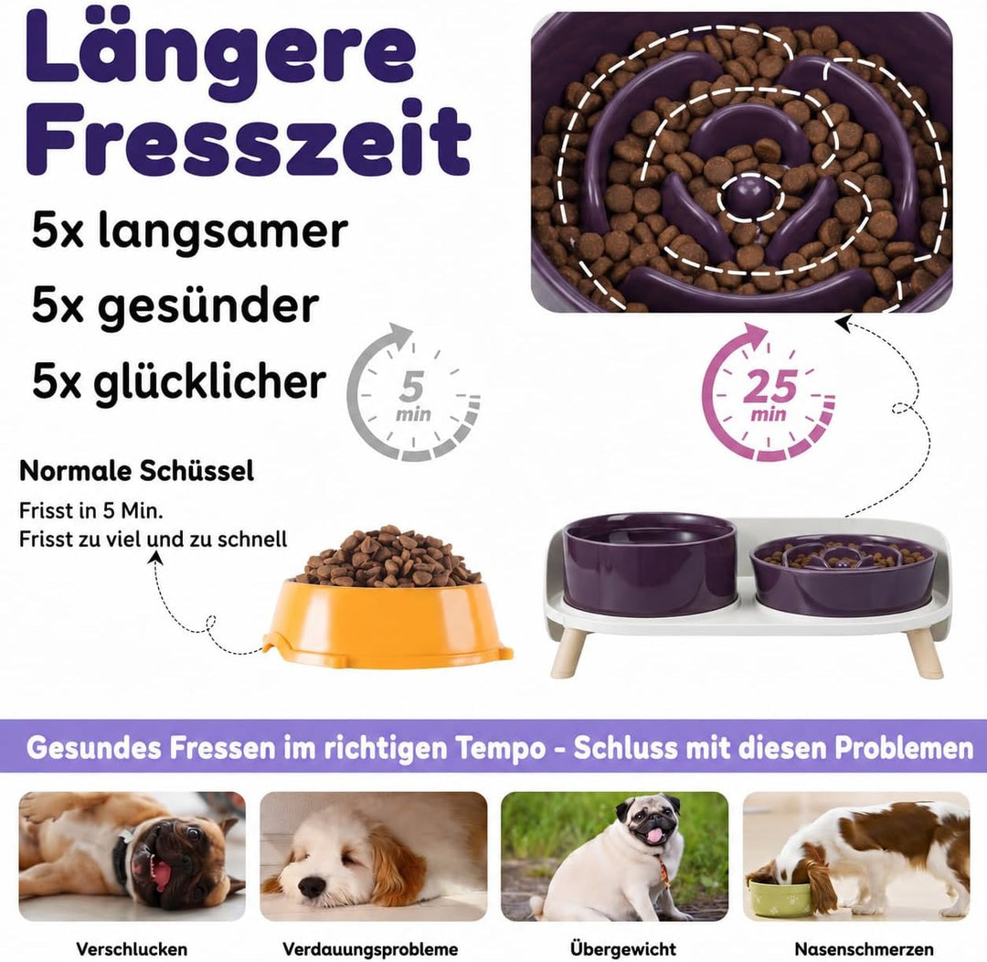 Antischlingnapf Hunde Keramik Hundenapf Erhöht - Anti Schling Napf Hund Set für Mittelgrosse und Kle