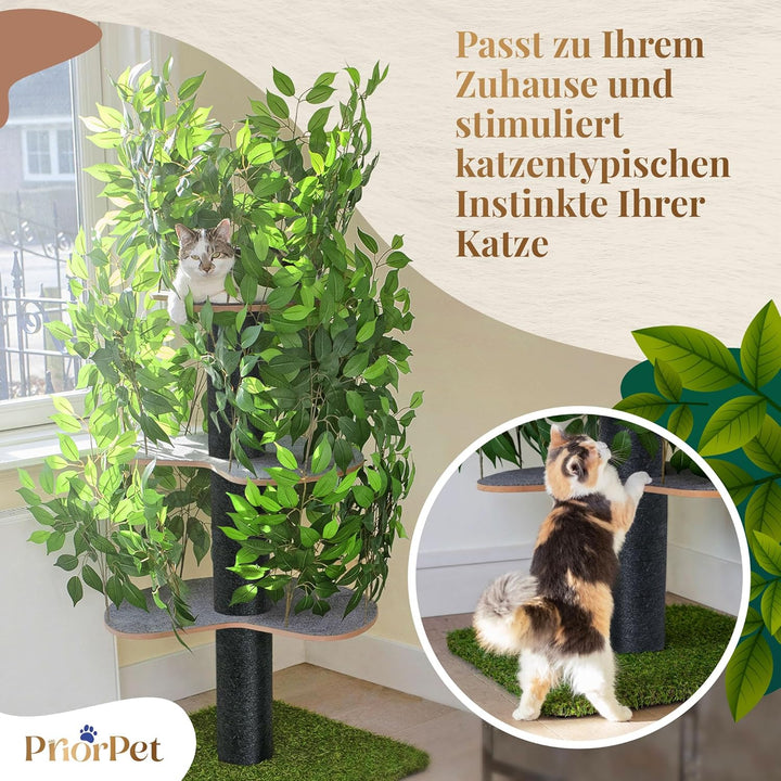 Kratzbaum Natur zum Klettern, Verstecken und Schlafen - gross mit austauschbaren Blättern - mehrstuf