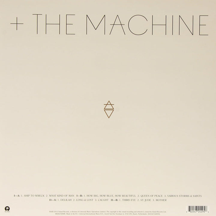 How Big,How Blue,How Beautiful (2LP) [Vinyl LP], Vinyl