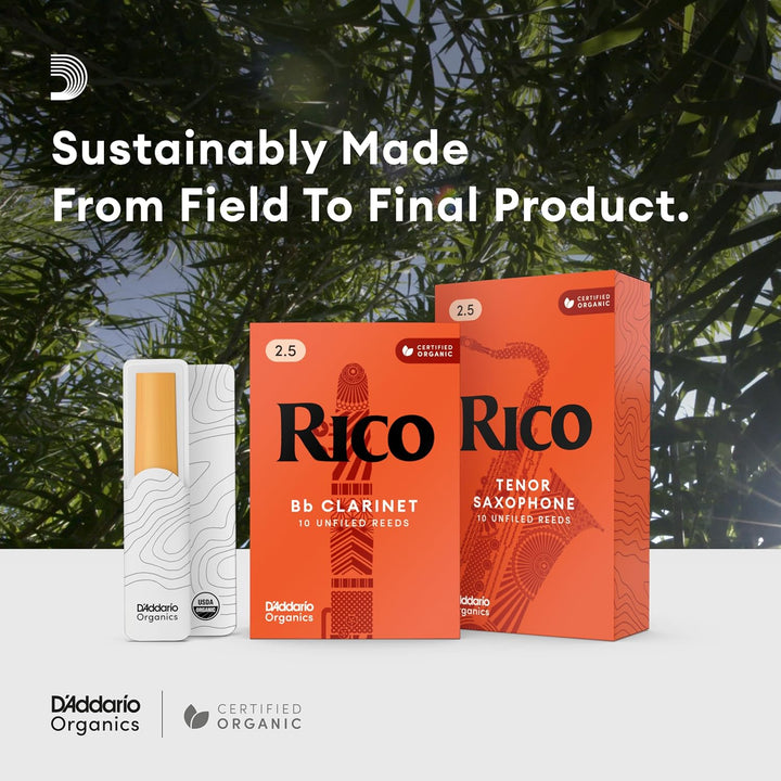 RICO Blätter für Bass-Klarinette Stärke 2.5 (10 Stück) Stärke 2.5 10 Packung, Stärke 2.5 10 Packung