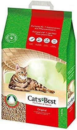 Cat&