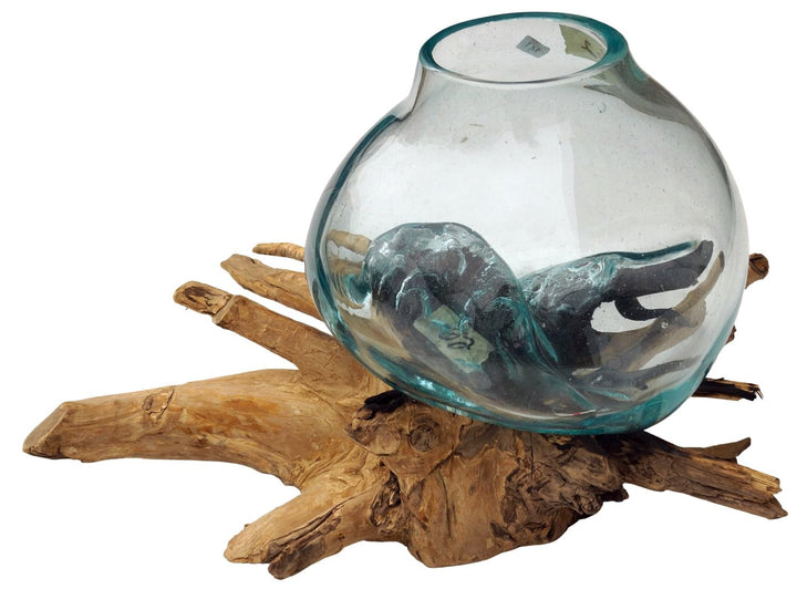 GURU SHOP Wurzelholz Vase - Ø Glas bis 20 cm M1, Braun, Vasen &amp; Blumentöpfe