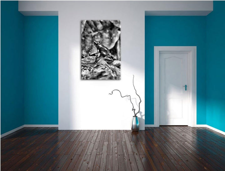 Pixxprint Baumsteiger Frosch als Leinwandbild/Grösse: 100x70 cm/Wandbild/Kunstdruck/fertig bespannt,
