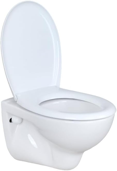 WC Toilette Hänge Wand WC (RosenStern) mit Soft-Close Deckel, Keramik