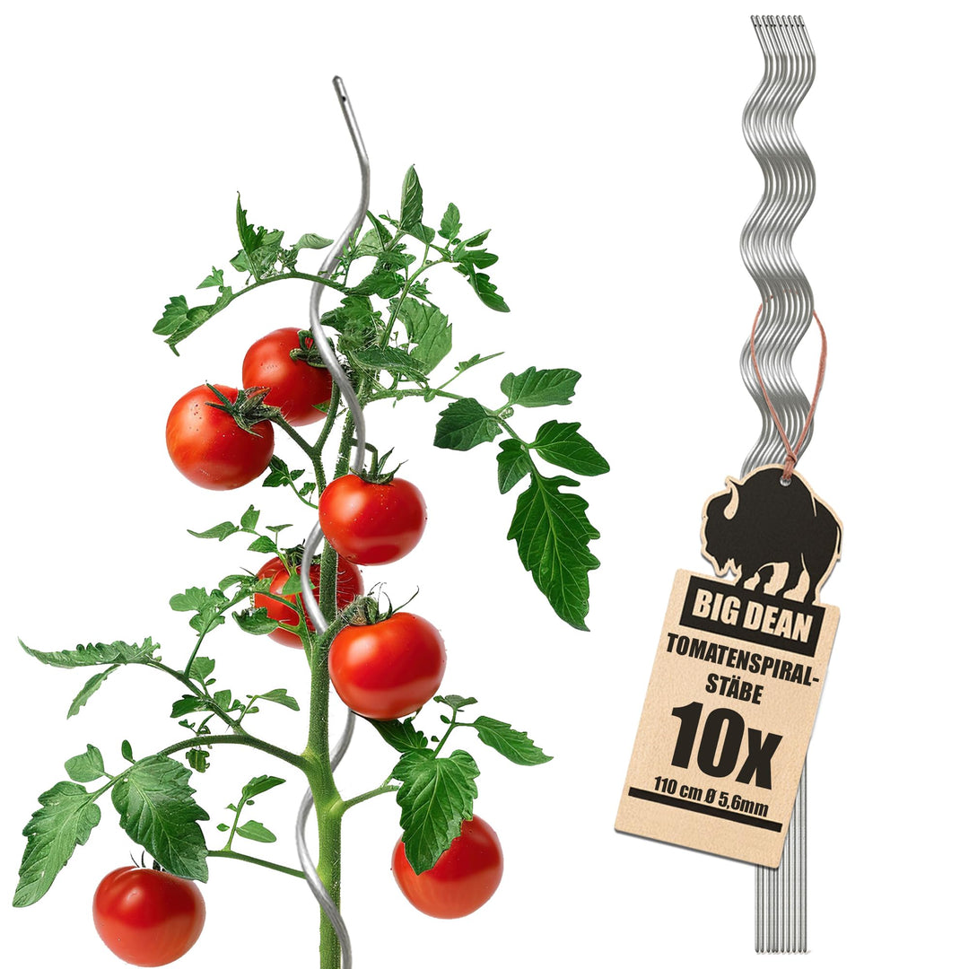 BigDean 10 Tomatenspiralstäbe 110cm voll verzinkt Tomatenstab Tomaten Ranke Pflanzstab Stahl Profi Q