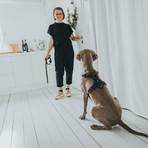 HUNTER Aalborg Hundegeschirr, Leder, M-L/1, schwarz schwarz M-L/1, schwarz M-L/1