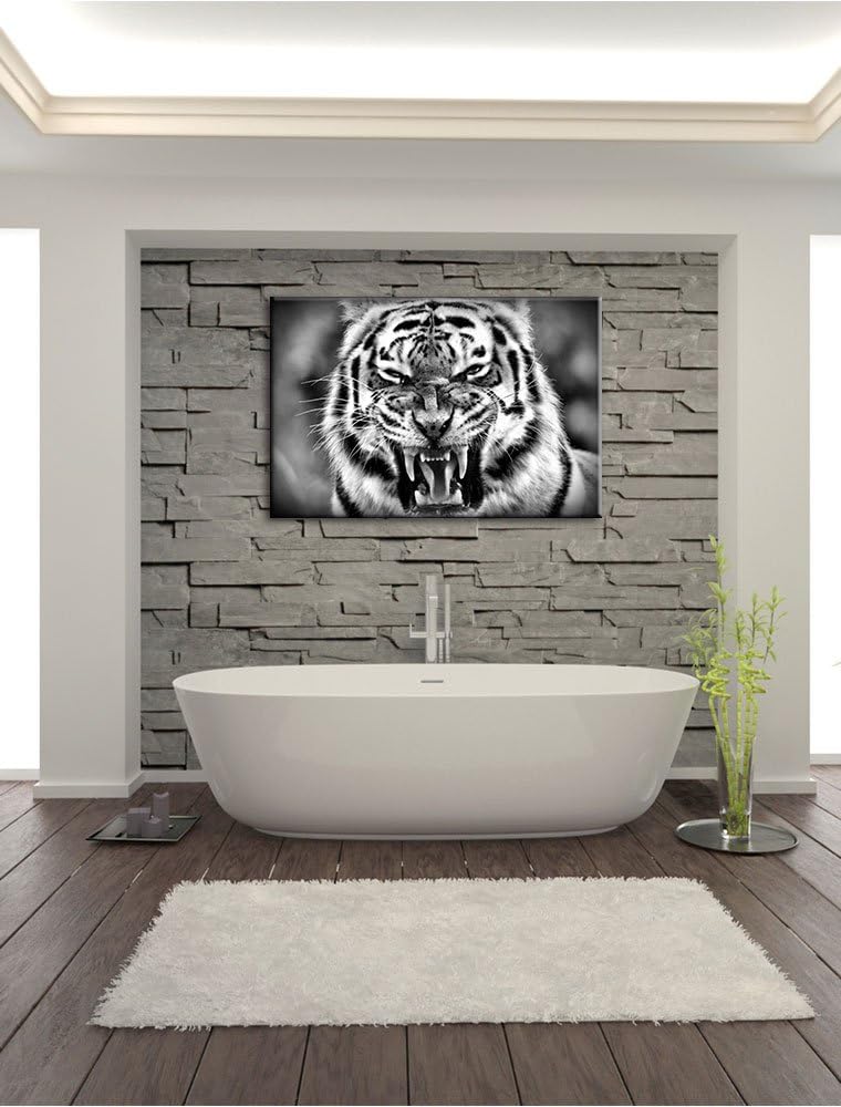 Pixxprint aggressiver Tiger als Leinwandbild/Grösse: 100x70 / Wandbild/Kunstdruck/fertig bespannt, 1