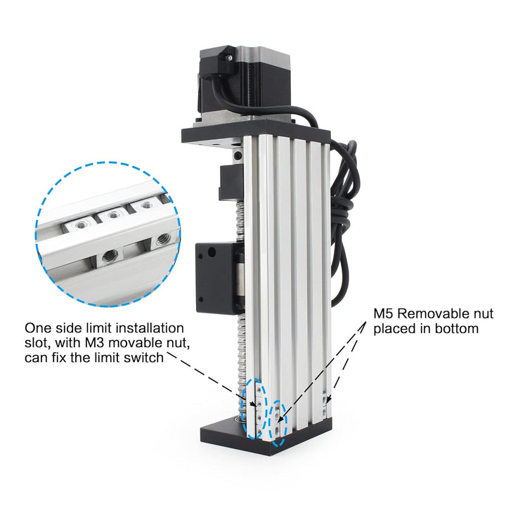 RATTMMOTOR Linearführung,CNC Doppelte Lineartisch-Aktuator 100 mm Länge Linearantrieb, Kugelumlaufsp
