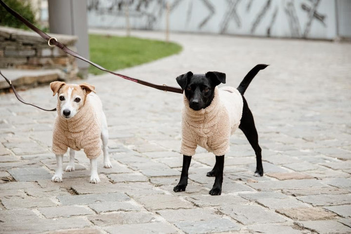Kentucky Dogwear Hundepullover Teddy Fleece, Grösse:L, Farbe:beige L beige, L beige
