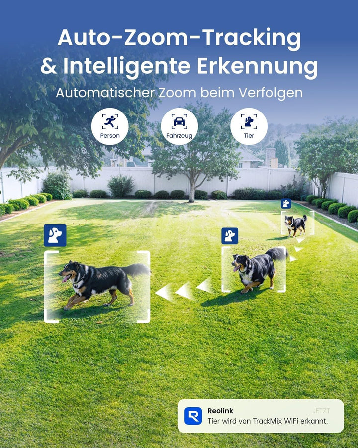 Reolink 4K 8MP PTZ Überwachungskamera Aussen mit Dual-Objektiv, 2,4/5GHz WLAN, Auto-Tracking, Smarte
