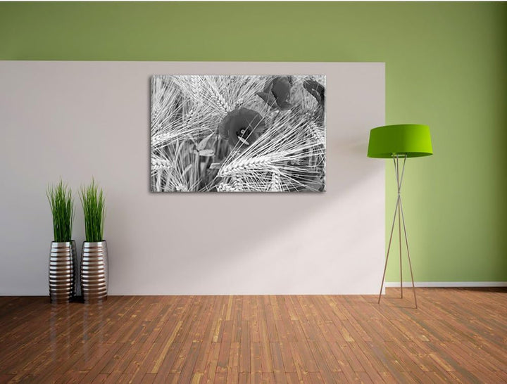 Pixxprint Mohnblumen auf dem Mais-Feld als Leinwandbild/Grösse: 100x70 cm/Wandbild/Kunstdruck/fertig
